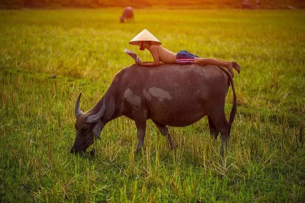 Trong 2 tháng tiếp theo: Hứa hẹn 3 con giáp giàu sang phú quý, tiền tài danh vọng phất phới.