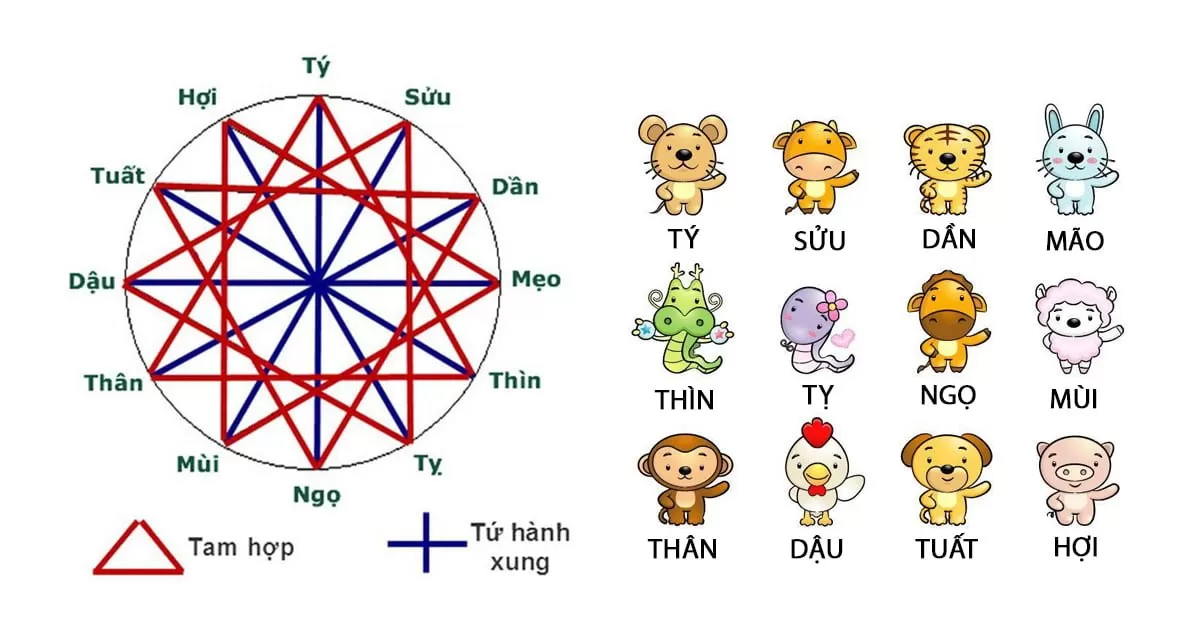 tam hop la gi va bo tam hop gom nhung con giap nao 8056