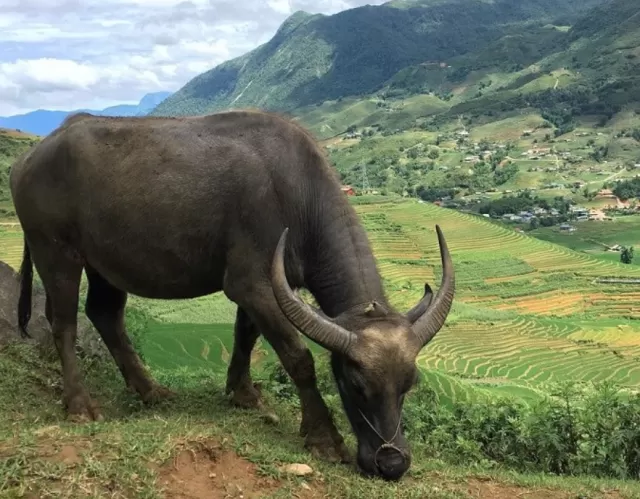 dung 10 ngay toi (12/11) 3 con giap giau cham dinh, tien tay moc canh bay v 10418